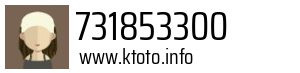 731853300
