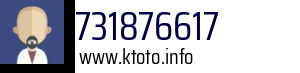 731876617