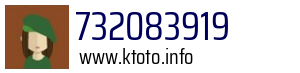 732083919