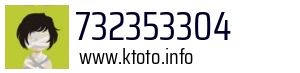 732353304