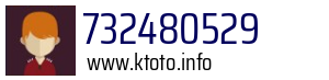 732480529