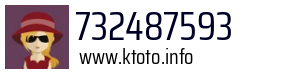 732487593
