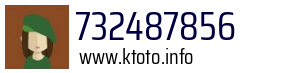 732487856