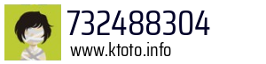 732488304