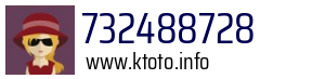 732488728