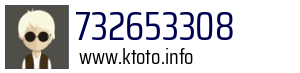 732653308