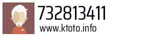 732813411