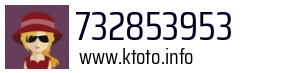 732853953