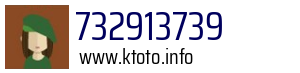 732913739