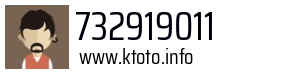 732919011