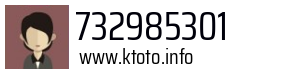 732985301