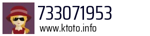 733071953
