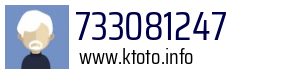 733081247