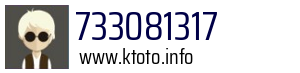 733081317
