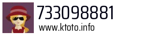 733098881