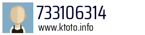 733106314