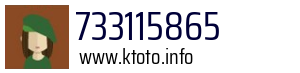 733115865