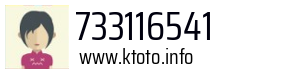 733116541