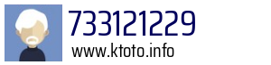 733121229