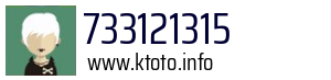 733121315