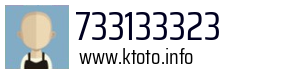 733133323