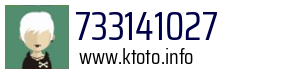 733141027