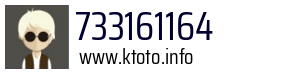 733161164