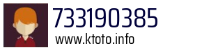 733190385