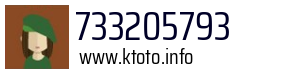 733205793