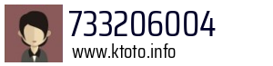 733206004