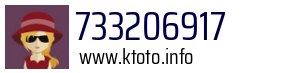 733206917