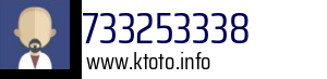 733253338