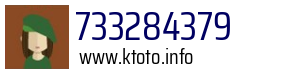 733284379