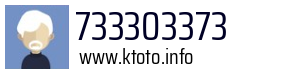 733303373