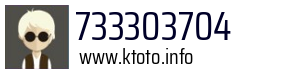 733303704