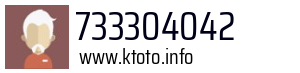 733304042
