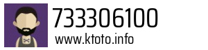 733306100