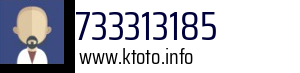 733313185