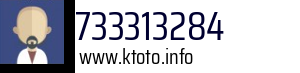 733313284