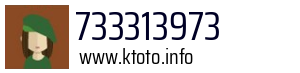 733313973