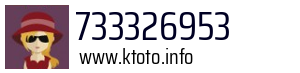 733326953