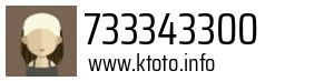 733343300