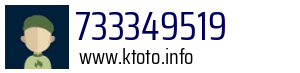 733349519
