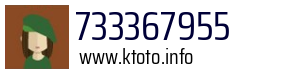 733367955