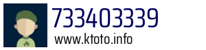 733403339