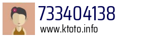 733404138