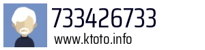 733426733