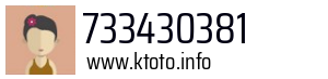 733430381