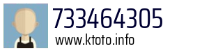 733464305