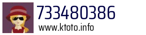 733480386